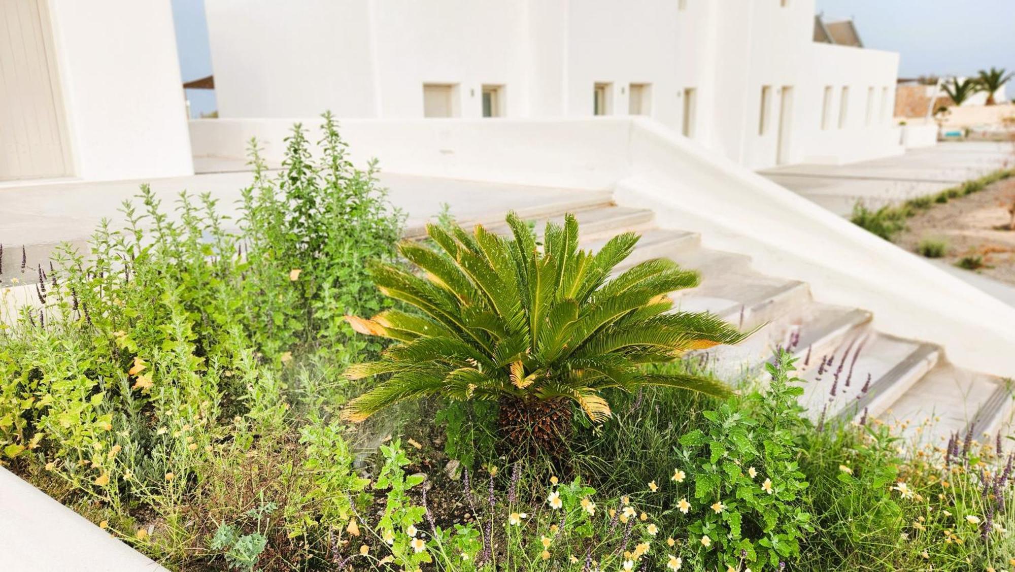 Hayal Suites Santorini Emporio  Eksteriør bilde
